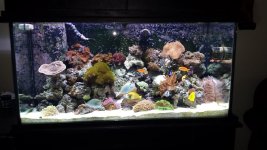20131111_124407.jpg