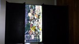 20131111_124359.jpg