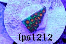 IMG_4922.JPG