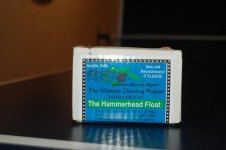 hammmer head.JPG