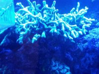 20131111_190352.jpg