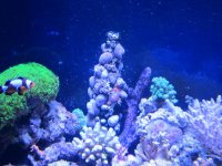 IMG_6472.jpg