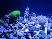 IMG_6476.jpg