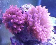 20130824_204641-1-1.jpg