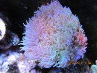 IMG_0101.jpg
