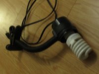 IMG_1832.JPG
