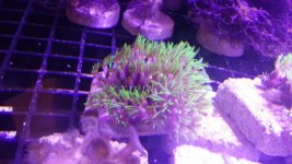 20130825_031742.jpg