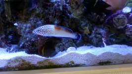 20130710_162352.jpg