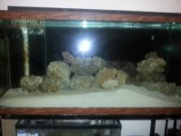front view of tank w flash.jpg