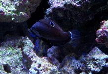 20131112_140811-1.jpg