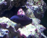 20131112_140957-1.jpg