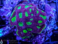 IMG_6932.jpg