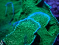 IMG_6962.jpg