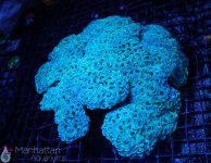 IMG_6963.jpg