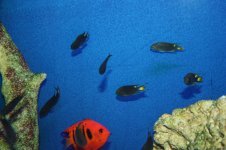 IMG_4084.jpg