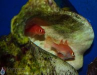IMG_6996.jpg