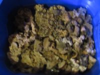 IMG_1864.JPG