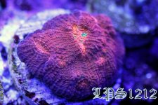 IMG_4841.JPG