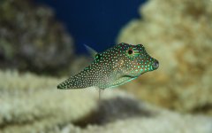 IMG_5455.jpg