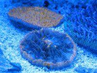 IMG_3436.jpg