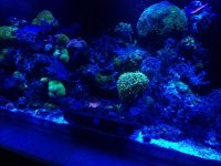 IMG_1154.jpg