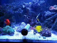 2013-08-10 13.09.06.jpg