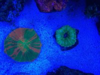 IMG_8822.jpg