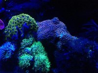 IMG_1192.jpg