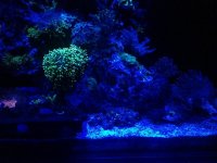 IMG_1202.jpg