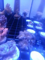 20140206_123715.jpg