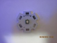 IMG_0227.jpg