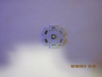IMG_0228.jpg