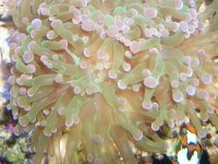 100_1262.JPG