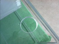 IMG_20130830_124533.jpg