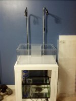 IMG_20130830_124656.jpg