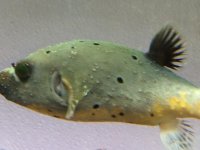 IMG_7018.jpg
