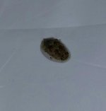 20131228_121340-1-1.jpg