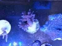20140518_193639.jpg
