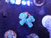 20140518_193735.jpg