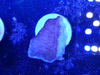 20140518_201001.jpg