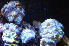 IMG_1887.jpg