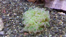 20131013_213823.jpg