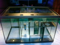 sump11.jpg