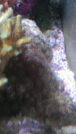 IMG_20140417_171153.jpg