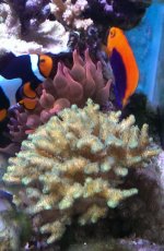 IMG_20140417_171019.jpg