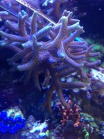 photo 2 (10).jpg