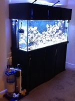 ImageUploadedByReefs1377982243.746709.jpg ImageUploadedByReefs1377982243.746709.jpg