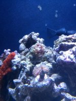 IMG_20140518_151051.jpg