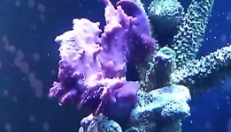IMAG0690 (2).jpg