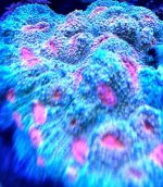d8a0b002-c456-4ed3-a711-3d1c30e5fddb_zps6c093e36.jpg